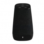 COWIN DiDa Portatif Bluetooth Hoparlr-Black