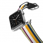 Casetify Apple Watch Kay (42mm)-Colorful Stripe