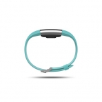 Fitbit Charge 2 Nabz lm Fitness Akll Bileklik (Byk)-Teal