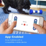 GoBone Ak�ll� K�pek Oyunca��