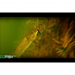 GoFish Kablosuz Sualtı Balık Kamerası
