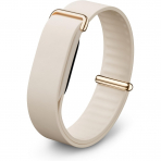 Google Fitbit Air Elevated Modern Kay��-Porcelain