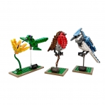 LEGO 21301 Ideas Birds Model Seti