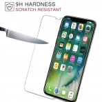 Pasonomi Apple iPhone X Temperli Cam Ekran Koruyucu (2 Adet)