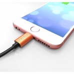 Pawtec Lightning to USB Kablo (1M)-Orange Aluminum Black  