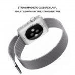 Penom Apple Watch Sport Edition Kay (42mm)-Silver