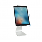 Rain Design iPad Stand (12.9 in)-Silver