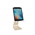 Rain Design iPad Stand (9.7 in)-Gold