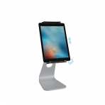Rain Design iPad Stand (9.7 in)-Space Gray