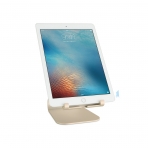 Rain Design iPad Stand-Gold