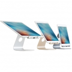 Rain Design iPad Stand-Silver