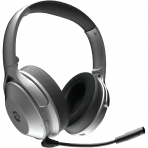 Raycon The Work Bluetooth Wireless Kulak st Kulaklk-Silver