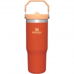 STANLEY IceFlow Pipetli Termos (890mL)-Tigerlily