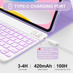 Soke Apple iPad 10/11.Nesil Klf (10.9/11 in)-Lilac Marble 