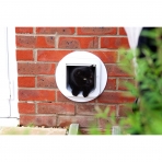 SureFlap Microchip Akıllı Otomatik Kedi Kapısı