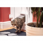 SureFlap Microchip Akıllı Otomatik Kedi Kapısı