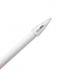 TechMatte Apple Pencil Kapak/Lightning Kablo Adaptr Koruyucu