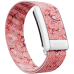 WHOOP 4.0 SuperKnit Uyumlu Kay -Blossom