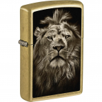 Zippo Aslan �akmak