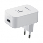 Sony CP-AD2 USB AC Adaptr + Micro USB Kablo