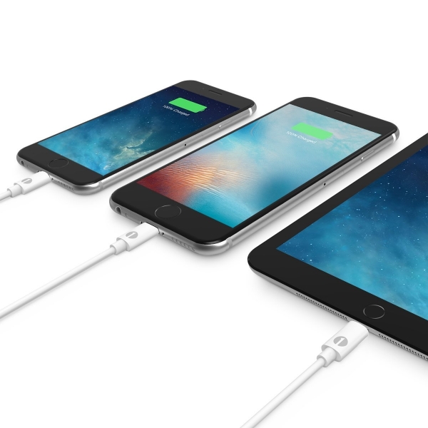 1byone 1 Metre Apple Lightning to USB Kablo-White
