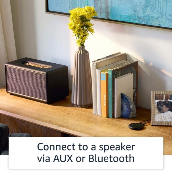Amazon Echo Input Ses Kontroll Cihaz-White