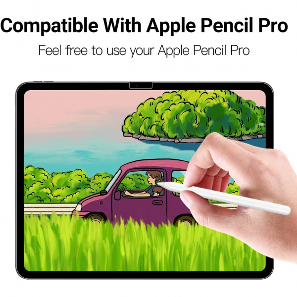 FILMEXT Privacy iPad Air M2 Ekran Koruyucu(13 in)