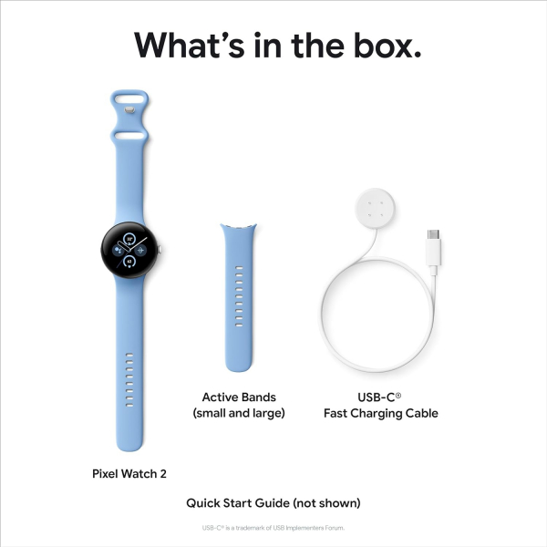 Google Pixel Watch 2  Fitbit Akll Saat-Silver