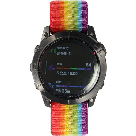 LDFAS Garmin Fenix 7/6 Pro/5 Plus Kay -Rainbow