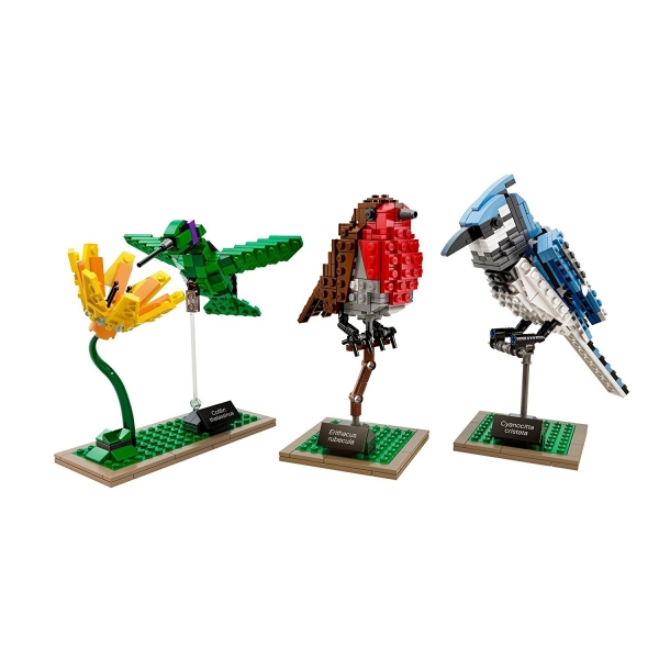 LEGO 21301 Ideas Birds Model Seti