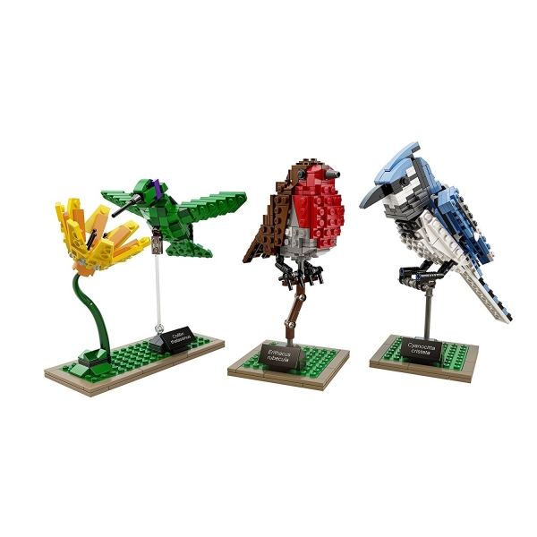 LEGO 21301 Ideas Birds Model Seti