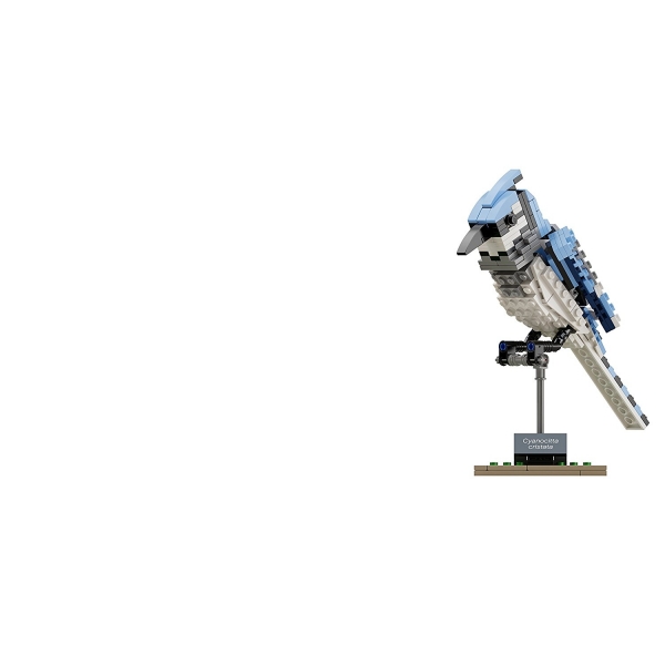 LEGO 21301 Ideas Birds Model Seti