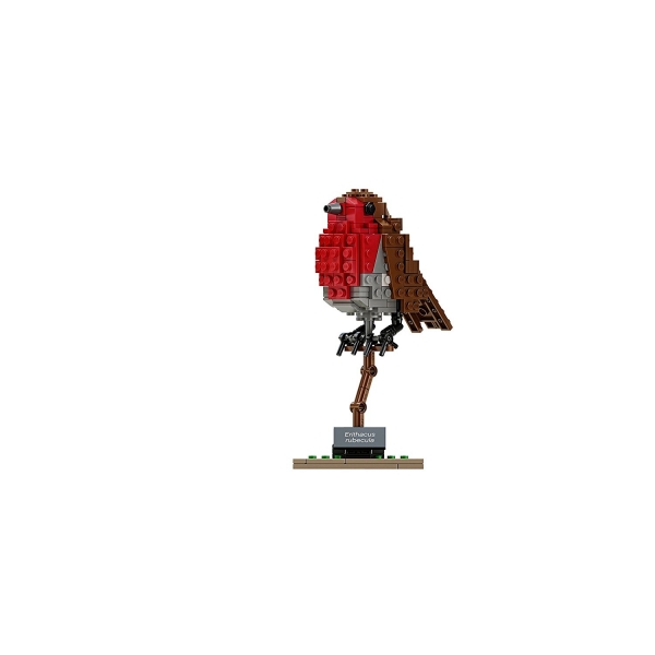 LEGO 21301 Ideas Birds Model Seti
