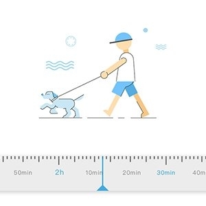 PETKIT Kpek Tasma Kay ve Tutacak (120 cm)