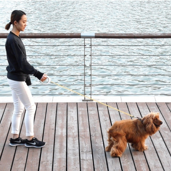 PETKIT Kpek Tasma Kay ve Tutacak (120 cm)