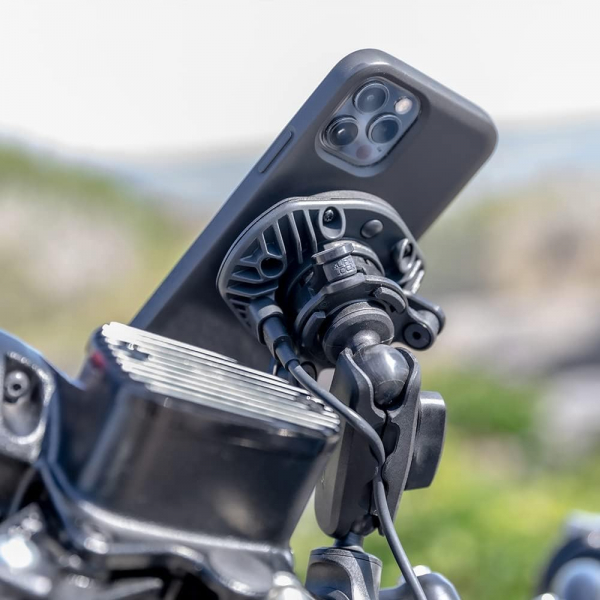 Quad Lock 360 Serisi ift Pivot Kol (Medium)