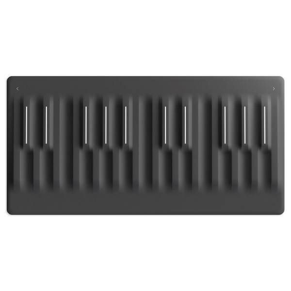 ROLI Seaboard Mzik Kontrolr