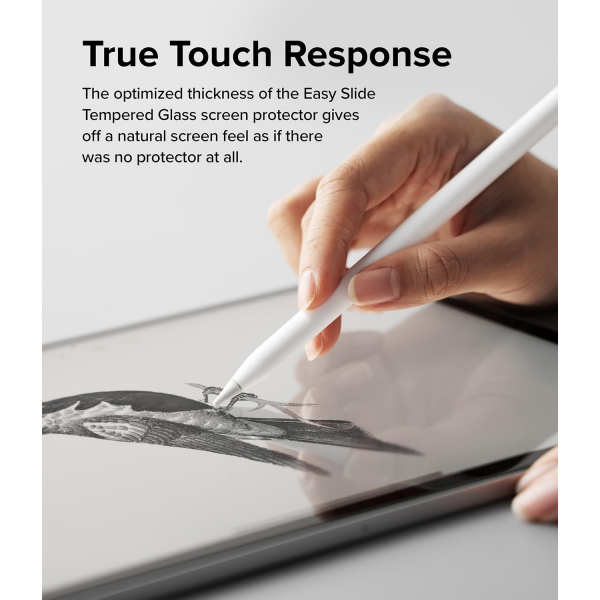 Rin gke Easy Slide iPad Pro M4 Ekran Koruyucu (13 in)