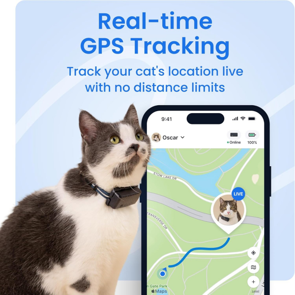 Tractive Ak�ll� Kedi GPS Takip Cihaz�-Blue
