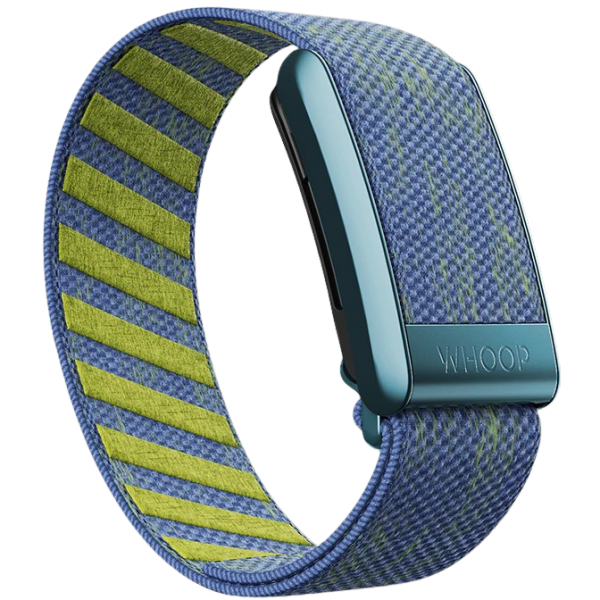 WHOOP 4.0 SuperKnit Uyumlu Kay -Shore Break