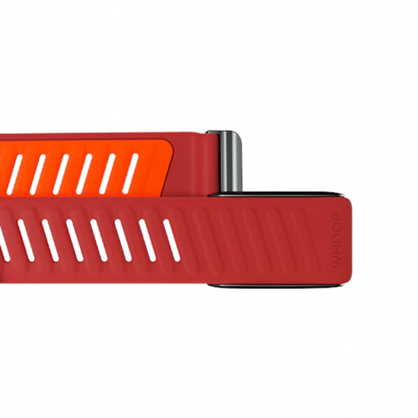 WHOOP 4.0 Uyumlu SportFlex Silikon Kay-Mirage