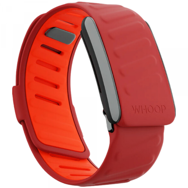 WHOOP 4.0 Uyumlu SportFlex Silikon Kay-Mirage