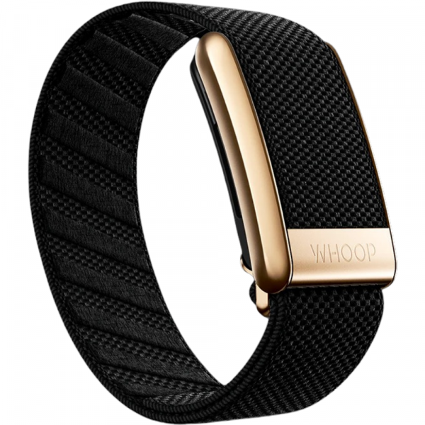 WHOOP 4.0 Uyumlu SuperKnit Luxe Kay -OnyxGold
