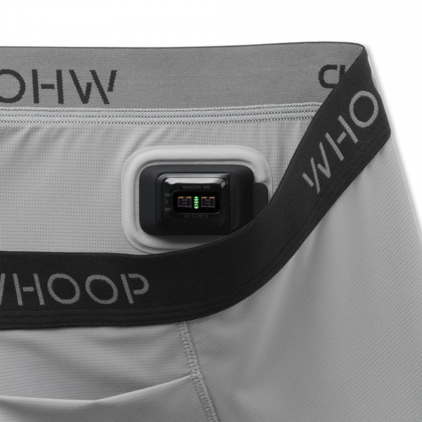 WHOOP 5.0 ve MG Uyumlu Akll Spor Boxer(Grey)-L