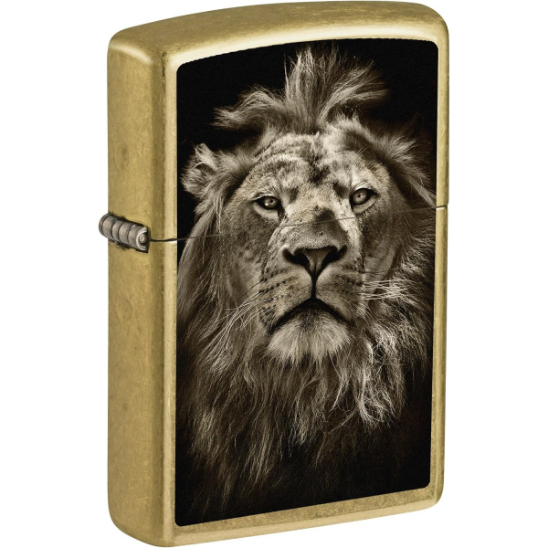 Zippo Aslan �akmak