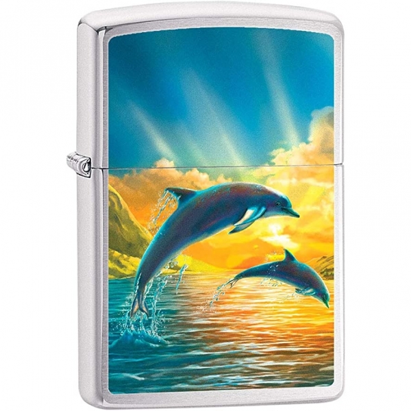 Zippo Gne ve Yunuslar akmak