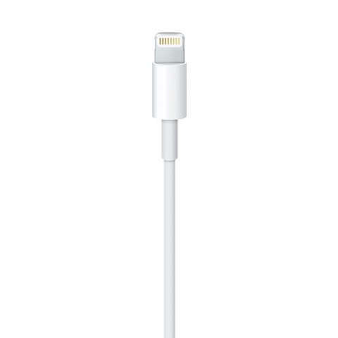 Apple Lightning - USB Kablosu (1m)