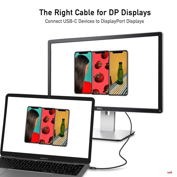 uni USB C to DisplayPort Kablosu (0.9M)