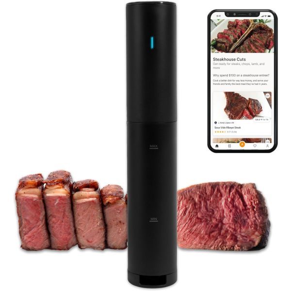 Anova Culinary Mini Hassas Piirici (2024)