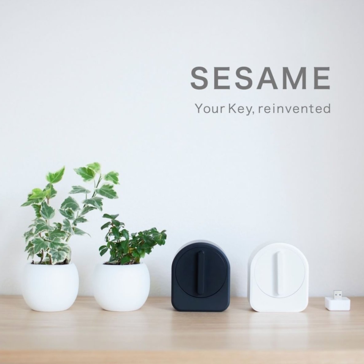 CANDY HOUSE Sesame Akıllı Kilit 7218